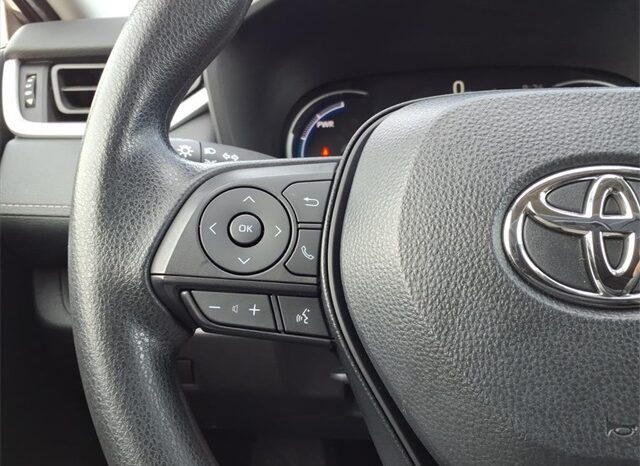 
 Toyota RAV4 Hybrid full									
