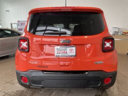 Jeep Renegade full
