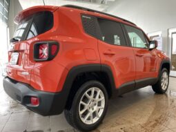 Jeep Renegade full