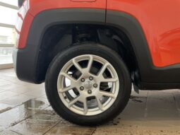 Jeep Renegade full