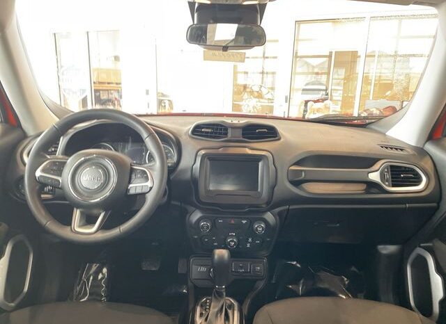 
 Jeep Renegade full									