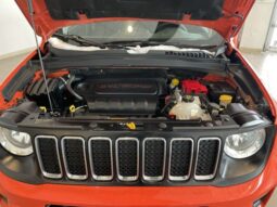 Jeep Renegade full