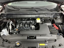 
 Nissan Pathfinder full									