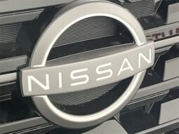 
 Nissan Pathfinder full									