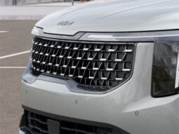 
 Kia Carnival Hybrid full									