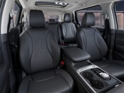 
 Kia Carnival Hybrid full									