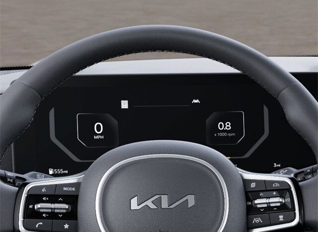 
 Kia Carnival Hybrid full									