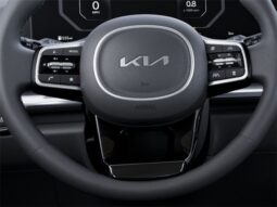 
 Kia Carnival Hybrid full									