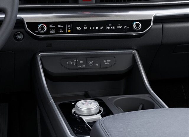 
 Kia Carnival Hybrid full									