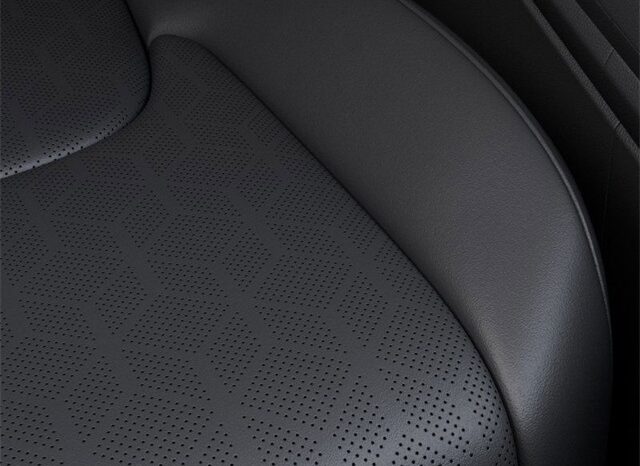 
 Kia Carnival Hybrid full									