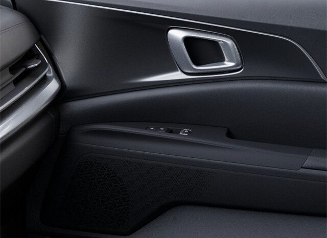 
 Kia Carnival Hybrid full									