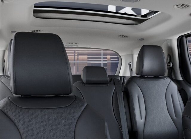 
 Kia Carnival Hybrid full									