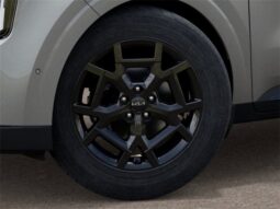 
 Kia Carnival Hybrid full									