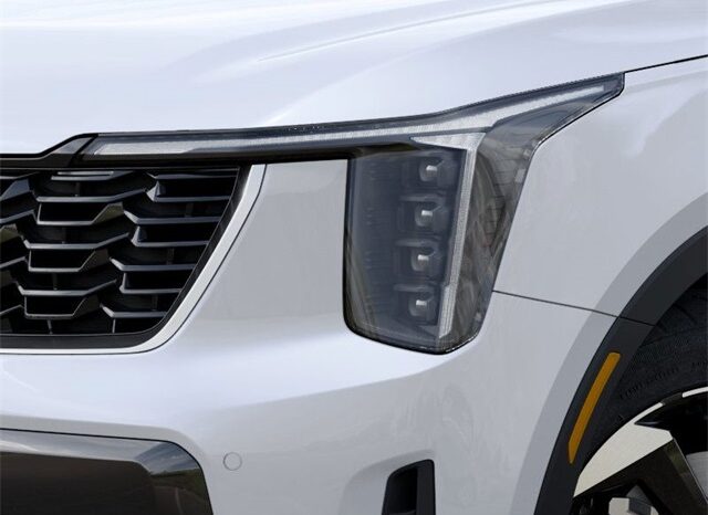 
 Kia Sorento Hybrid full									