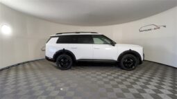 
 Kia Telluride full									