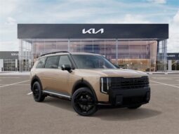 
 Kia Telluride full									