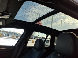BMW X3 full
