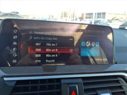 BMW X3 full