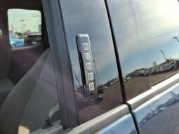 
 Ford F-150 full									