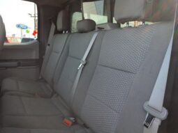 
 Ford F-150 full									