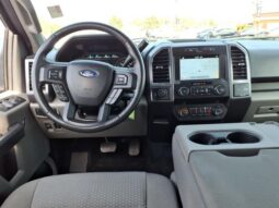 
 Ford F-150 full									