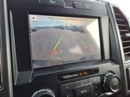 
 Ford F-150 full									