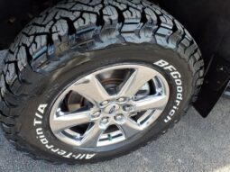 
 Ford F-150 full									