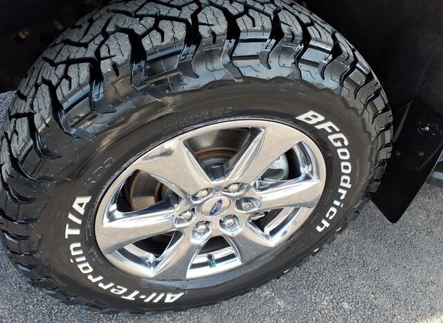 
 Ford F-150 full									