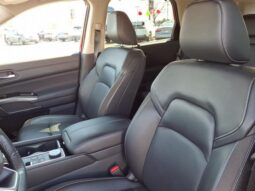 
 Nissan Pathfinder full									