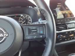 
 Nissan Pathfinder full									