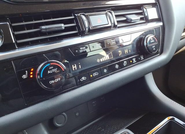 
 Nissan Pathfinder full									