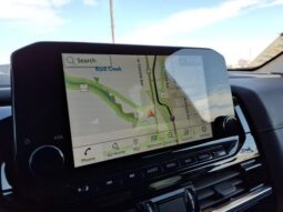 
 Nissan Pathfinder full									