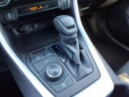 
 Toyota RAV4 Hybrid full									