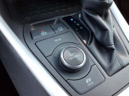 
 Toyota RAV4 Hybrid full									