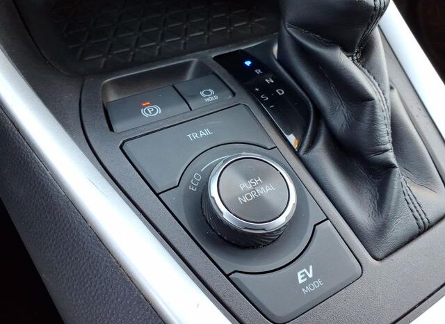 
 Toyota RAV4 Hybrid full									