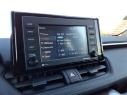 
 Toyota RAV4 Hybrid full									