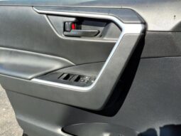 
 Toyota RAV4 Hybrid full									