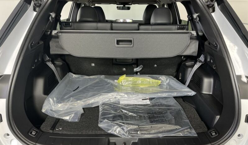 
 Mitsubishi Outlander full									