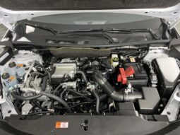 
 Mitsubishi Outlander full									