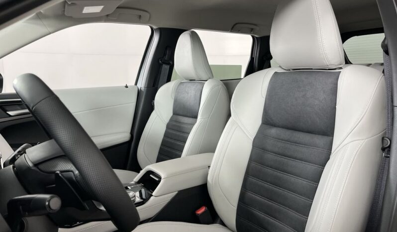 
 Mitsubishi Outlander full									