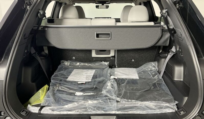
 Mitsubishi Outlander full									