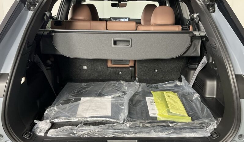 
 Mitsubishi Outlander full									