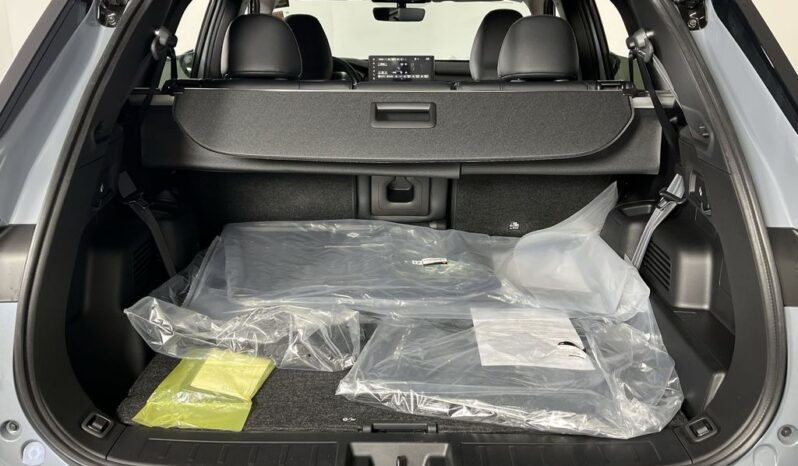 
 Mitsubishi Outlander full									