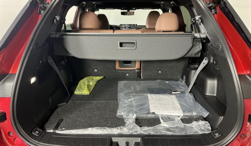 
 Mitsubishi Outlander full									