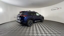 
 Nissan Rogue full									