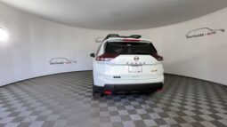 
 Nissan Rogue full									