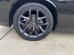 
 Dodge Challenger full									