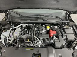 
 Nissan Sentra full									