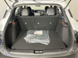 
 Nissan Kicks full									