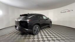 
 Nissan Murano full									